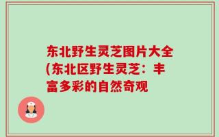 东北野生灵芝图片大全(东北区野生灵芝：丰富多彩的自然奇观
