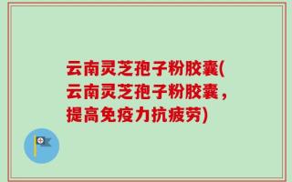 云南灵芝孢子粉胶囊(云南灵芝孢子粉胶囊，提高免疫力抗疲劳)