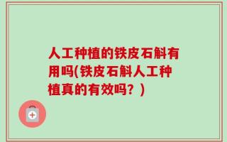 人工种植的铁皮石斛有用吗(铁皮石斛人工种植真的有效吗？)