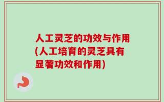 人工灵芝的功效与作用(人工培育的灵芝具有显著功效和作用)