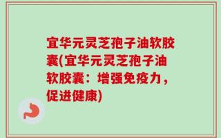 宜华元灵芝孢子油软胶囊(宜华元灵芝孢子油软胶囊：增强免疫力，促进健康)