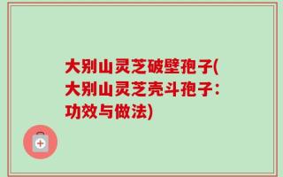 大别山灵芝破壁孢子(大别山灵芝壳斗孢子：功效与做法)
