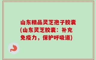 山东精品灵芝孢子胶囊(山东灵芝胶囊：补充免疫力，保护呼吸道)