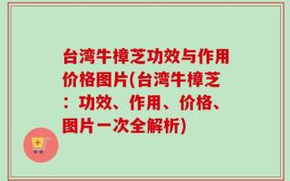 台湾牛樟芝功效与作用价格图片(台湾牛樟芝：功效、作用、价格、图片一次全解析)
