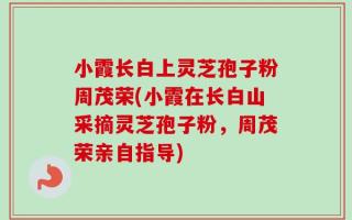 小霞长白上灵芝孢子粉周茂荣(小霞在长白山采摘灵芝孢子粉，周茂荣亲自指导)