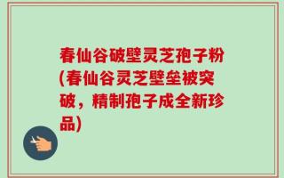春仙谷破壁灵芝孢子粉(春仙谷灵芝壁垒被突破，精制孢子成全新珍品)