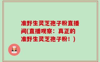 准野生灵芝孢子粉直播间(直播观察：真正的准野生灵芝孢子粉！)