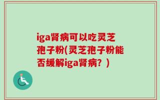 iga肾病可以吃灵芝孢子粉(灵芝孢子粉能否缓解iga肾病？)