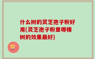 什么树的灵芝孢子粉好用(灵芝孢子粉里哪棵树的效果最好)