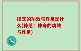 樟芝的功效与作用是什么(樟芝：神奇的功效与作用)