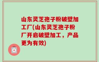 山东灵芝孢子粉破壁加工厂(山东灵芝孢子粉厂开启破壁加工，产品更为有效)