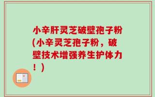 小辛肝灵芝破壁孢子粉(小辛灵芝孢子粉，破壁技术增强养生护体力！)