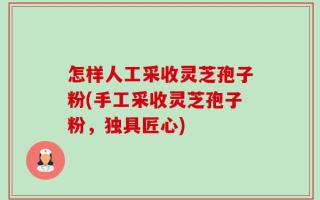 怎样人工采收灵芝孢子粉(手工采收灵芝孢子粉，独具匠心)
