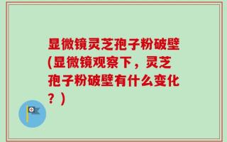 显微镜灵芝孢子粉破壁(显微镜观察下，灵芝孢子粉破壁有什么变化？)
