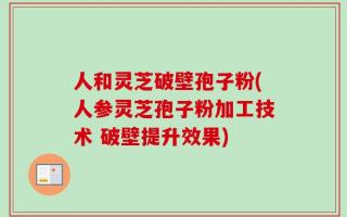 人和灵芝破壁孢子粉(人参灵芝孢子粉加工技术 破壁提升效果)