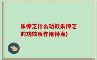 朱樟芝什么功效朱樟芝的功效及作用特点)