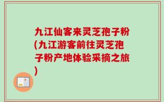 九江仙客来灵芝孢子粉(九江游客前往灵芝孢子粉产地体验采摘之旅)