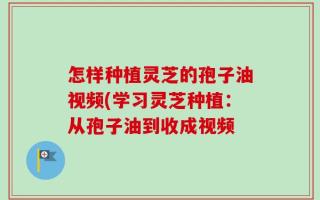 怎样种植灵芝的孢子油视频(学习灵芝种植：从孢子油到收成视频