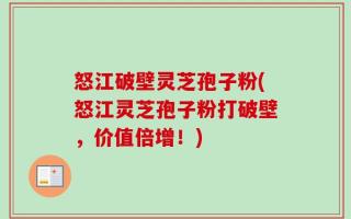 怒江破壁灵芝孢子粉(怒江灵芝孢子粉打破壁，价值倍增！)