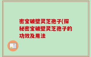密宝破壁灵芝孢子(探秘密宝破壁灵芝孢子的功效及用法