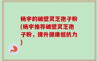 杨宇的破壁灵芝孢子粉(杨宇推荐破壁灵芝孢子粉，提升健康抵抗力)