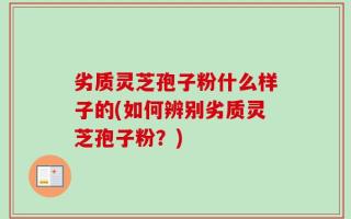 劣质灵芝孢子粉什么样子的(如何辨别劣质灵芝孢子粉？)