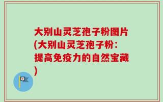 大别山灵芝孢子粉图片(大别山灵芝孢子粉：提高免疫力的自然宝藏)