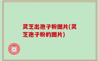 灵芝出孢子粉图片(灵芝孢子粉的图片)