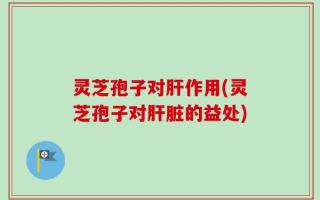 灵芝孢子对肝作用(灵芝孢子对肝脏的益处)