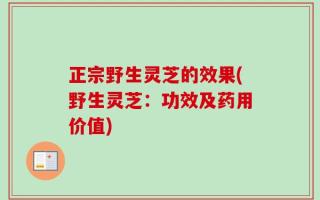 正宗野生灵芝的效果(野生灵芝：功效及药用价值)