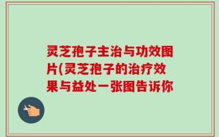 灵芝孢子主治与功效图片(灵芝孢子的治疗效果与益处一张图告诉你