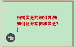 松树灵芝的辨别方法(如何区分松树和灵芝？)