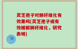 灵芝孢子对肺纤维化有效果吗(灵芝孢子或有效缓解肺纤维化，研究表明)