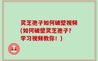 灵芝孢子如何破壁视频(如何破壁灵芝孢子？学习视频教你！)