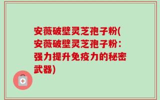 安薇破壁灵芝孢子粉(安薇破壁灵芝孢子粉：强力提升免疫力的秘密武器)