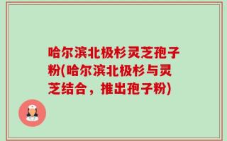 哈尔滨北极杉灵芝孢子粉(哈尔滨北极杉与灵芝结合，推出孢子粉)