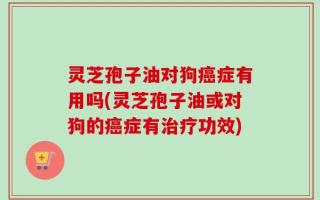 灵芝孢子油对狗癌症有用吗(灵芝孢子油或对狗的癌症有治疗功效)