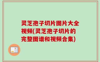 灵芝孢子切片图片大全视频(灵芝孢子切片的完整图谱和视频合集)