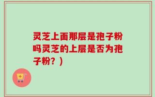 灵芝上面那层是孢子粉吗灵芝的上层是否为孢子粉？)