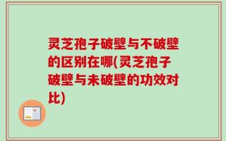 灵芝孢子破壁与不破壁的区别在哪(灵芝孢子破壁与未破壁的功效对比)