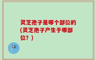 灵芝孢子是哪个部位的(灵芝孢子产生于哪部位？)