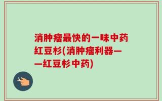 消肿瘤最快的一味中药红豆杉(消肿瘤利器——红豆杉中药)
