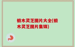 椴木灵芝图片大全(椴木灵芝图片集锦)
