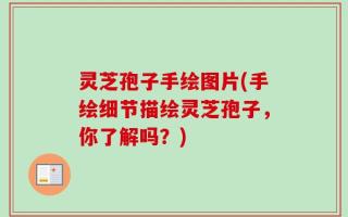 灵芝孢子手绘图片(手绘细节描绘灵芝孢子，你了解吗？)