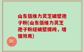 山东佰维力灵芝破壁孢子粉(山东佰维力灵芝孢子粉经破壁提纯，增强效用)