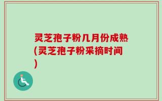 灵芝孢子粉几月份成熟(灵芝孢子粉采摘时间)