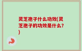 灵芝孢子什么功效(灵芝孢子的功效是什么？)