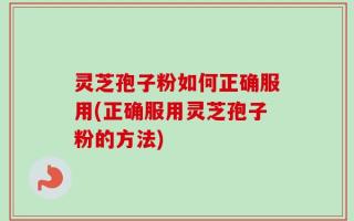 灵芝孢子粉如何正确服用(正确服用灵芝孢子粉的方法)