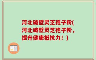 河北破壁灵芝孢子粉(河北破壁灵芝孢子粉，提升健康抵抗力！)