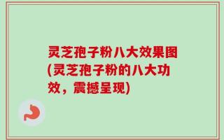 灵芝孢子粉八大效果图(灵芝孢子粉的八大功效，震撼呈现)